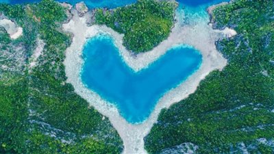 الطبيعة تنبض بالحب.. بحيرة قلبية الشكل في إندونيسيا 