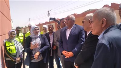 وزير التعليم يقرر إنشاء مدرسة حكومية دولية بنظام IPS في الوادي الجديد