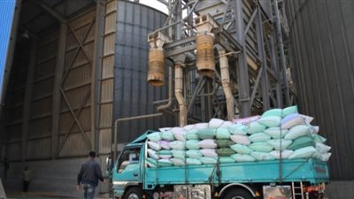 توريد 147 ألفا و101 طن من القمح بمحافظة الغربية