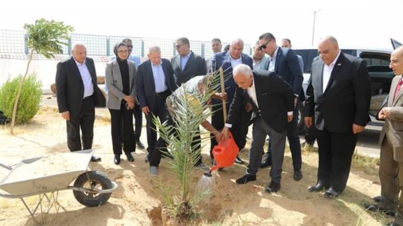 وزير التعليم يغرس