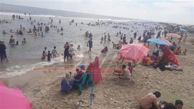 عطية: يكشف لـ