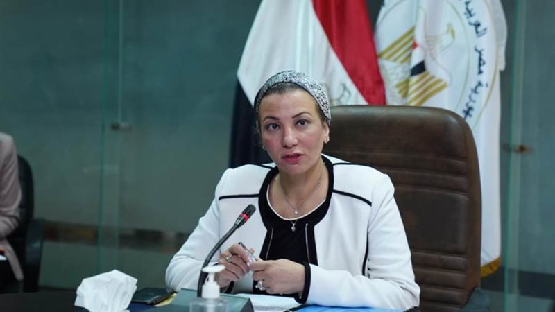 الدكتورة ياسمين فؤاد