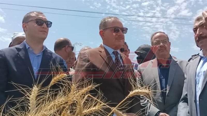 زراعة القمح