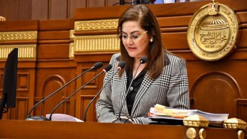 وزيرة التخطيط