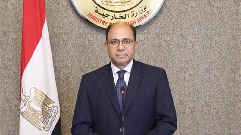 السفير أحمد أبو زيد