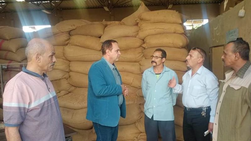 توريد القمح