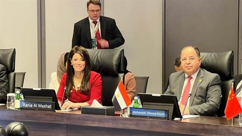 الدكتور محمد معيط