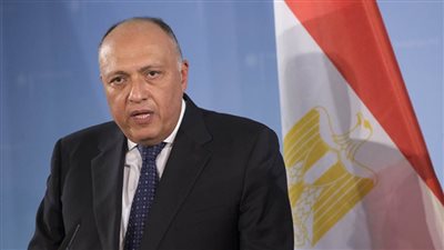 شكري: مصر تتطلع للمضي قدمًا في جهود تفعيل عمل 