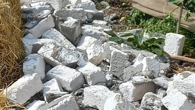 تنفيذ 56 قرار إزالة فى حملة مكبرة بالبحيرة