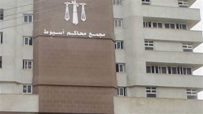 بسبب الميراث .. إحالة أوراق عامل قتل شقيقه بأسيوط لفضيلة المفتي