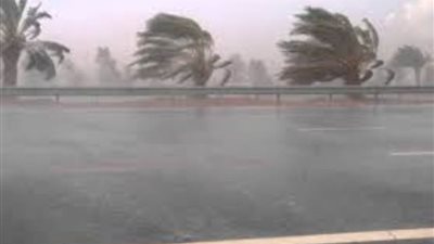 عاجل.. الصحة تقدم عددًا من النصائح للمواطنين للوقاية من التقلبات الجوية والطقس