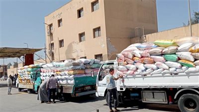  توريد 182699 طنًا و838 كيلو قمح لشون وصوامع كفر الشيخ