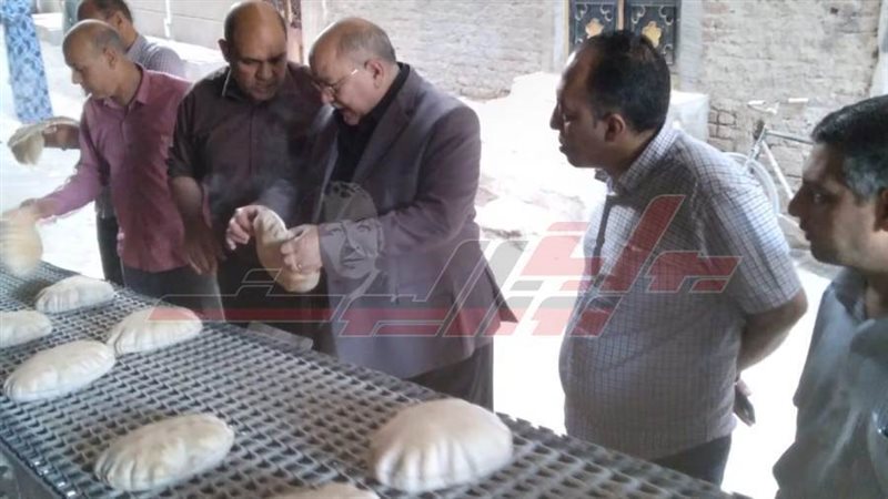 الحملات الرقابية