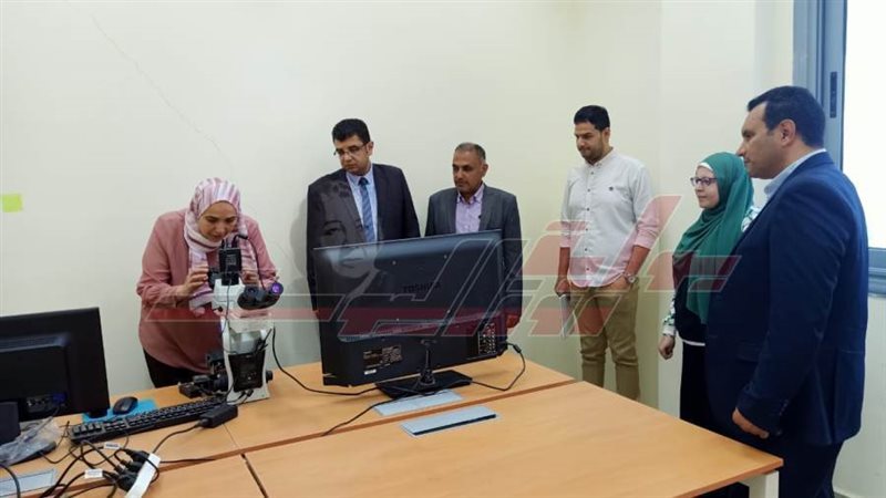 اللجنة المشكلة