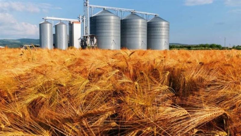 توريد القمح