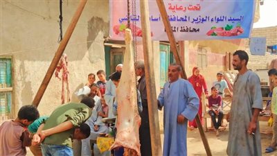 بسعر 250 جنيهًا للكيلو.. افتتاح منفذ لبيع اللحوم البلدية بالسرارية بالمنيا 