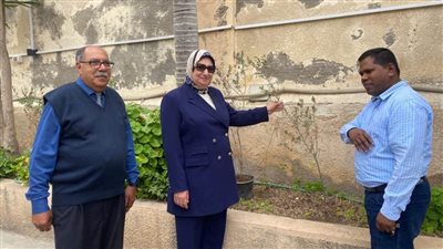  رئيس حي غرب الإسكندرية تزور معهد وكنيسة الدون بوسكو وتزرع أول شجرة زيتون