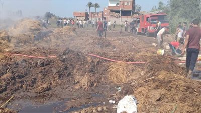 نفوق 6 رؤوس ماشية ودابة في حريق حظيرة بالدقهلية