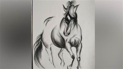 مواهب شابة تدعمها بوابة روزاليوسف بريشة الفنان أنس أحمد النمس (28)