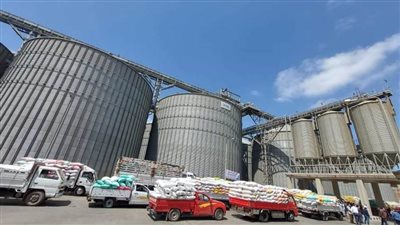 توريد 366 ألف طن قمح لشون وصوامع محافظة البحيرة 