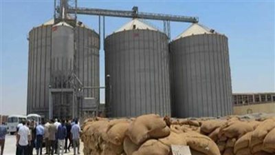 محافظ الغربية: توريد 158 ألف طن من القمح داخل الصوامع