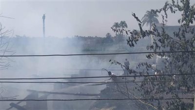 نفوق 25 رأس ماشية في حريق التهم 4 منازل بأسيوط