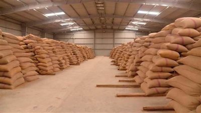تموين الدقهلية: ٣٢٤ ألفًا و١٧٣ طنًا  و٧٥١ كيلو قمح تم توريدها حتى الآن