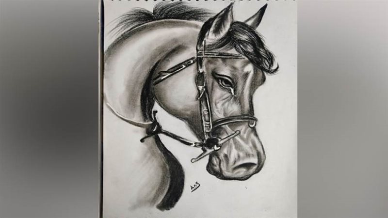 ريشة - أنس أحمد النمس