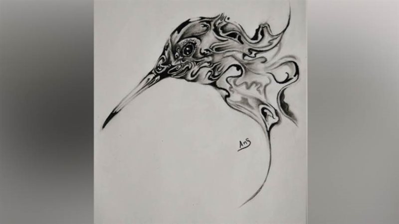 ريشة - أنس أحمد النمس