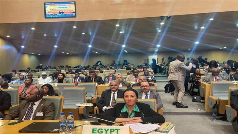 الدكتورة ياسمين فؤاد