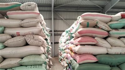 توريد 372 ألف طن قمح لشون وصوامع محافظة البحيرة 