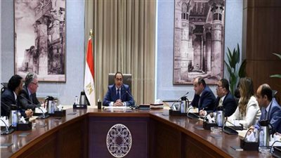 رئيس الوزراء يبحث مع الرئيس التنفيذي لشركة 