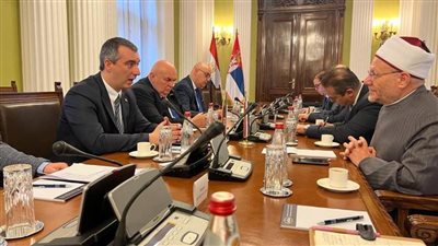 مفتي الجمهورية: الدساتير المصرية على مدار تاريخها تؤكد أن جميع المصريين سواء أمام القانون