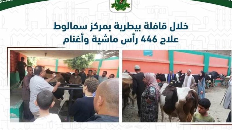 قافلة بيطرية