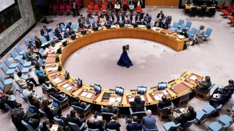 مجلس الأمن الدولي