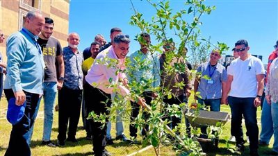 جهاز المنصورة وسكان المدينة يشاركون في احتفالية اليوم العالمي للبيئة بزراعة الأشجار
