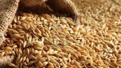 ضبط 31 طن قمح بدون ترخيص بالدقهلية وإزالة 22 حالة تعد بالغربية