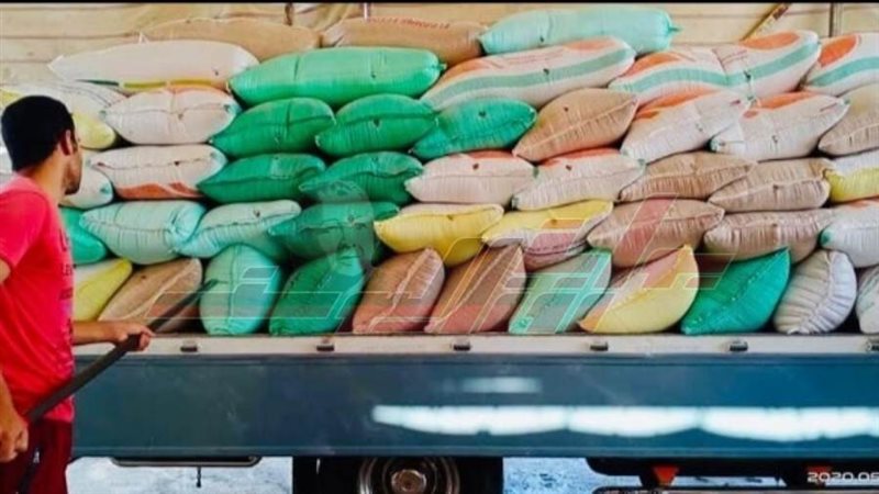 توريد واستلام القمح