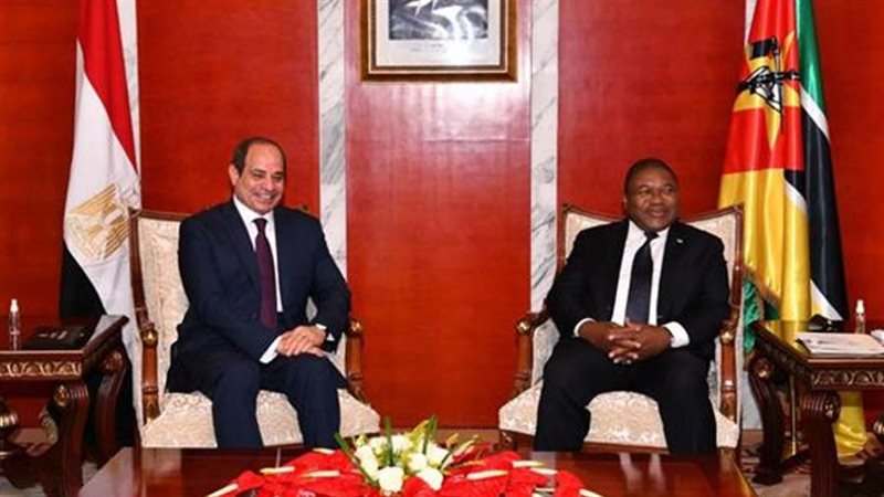 الرئيس السيسي ونظيره