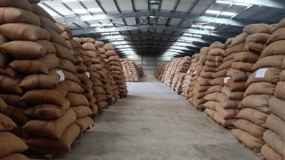 توريد أكثر من 6ر332 ألف طن من القمح بمواقع التخزين بالدقهلية