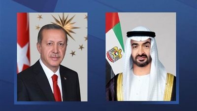 الرئيسان الإماراتي والتركي يبحثان سبل تعزيز العلاقات الاستراتيجية بين البلدين