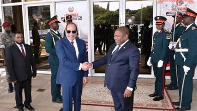 عاجل.. ماذا قالت الصحافة الإفريقية عن جولة الرئيس السيسي في القارة السمراء؟