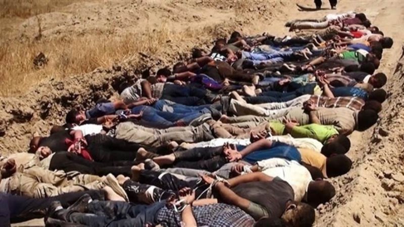 الأمم المتحدة تحقق