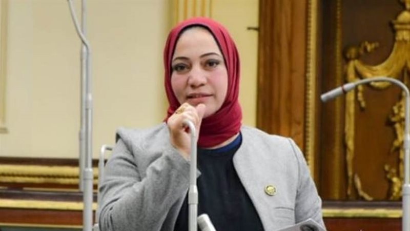 النائبة صفاء جابر