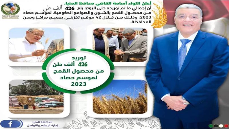 توريد القمح بالمنيا