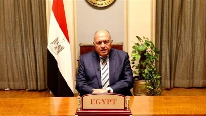 سامح شكري وزير الخارجية