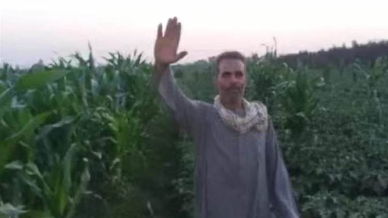 المجنى عليه