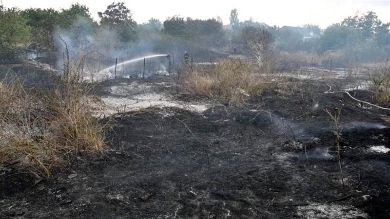 الجرائم البيئية الروسية