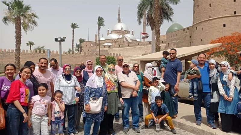 جانب من الفاعلية