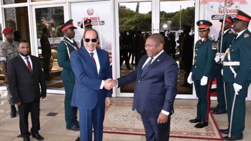 الرئيس السيسي ونظيره